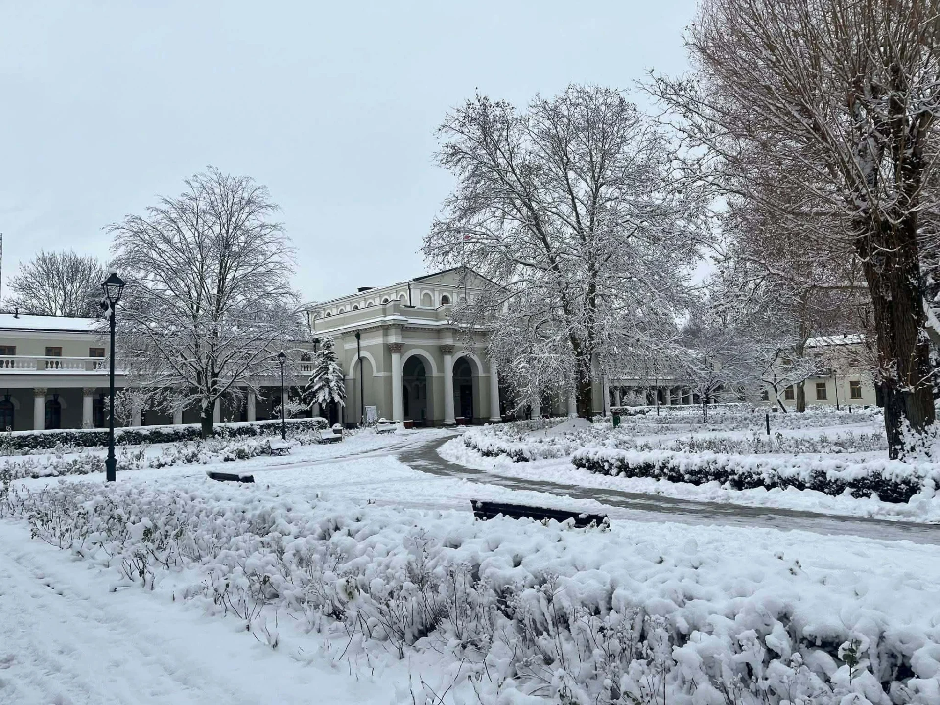 Busy z Podkarpacia do Holandii